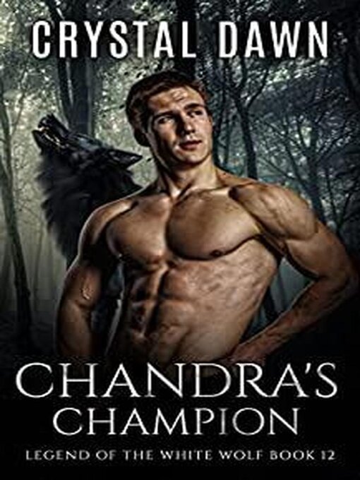 Cover image for Chandra's Champion